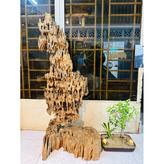 Bộ lũa decor tiểu cảnh rất đẹp - ship hoả tốc TPHCM