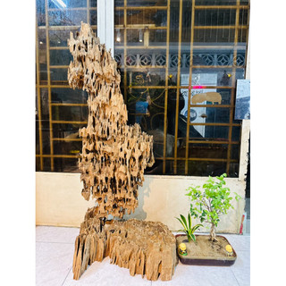 Bộ lũa decor tiểu cảnh rất đẹp - ship hoả tốc TPHCM