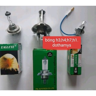 Bóng đèn pha, đèn lùi, đèn gầm chân h4,h7,h3 12v 24v Ô tô, xe máy con ó, con cú loại đẹp70w hoặc 100w