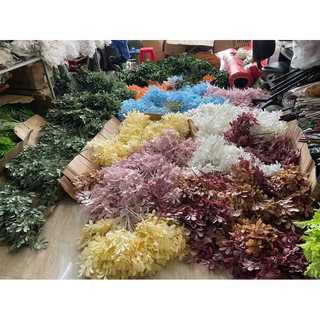 Chùm lá thanh mai - Lá giả