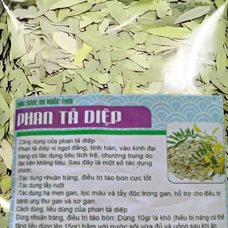 Trà Phan Tả Diệp 500g Khô Sạch, Trà Tả Diệp Detox Xổ Độc, Lá Phan Tả Diệp Hỗ Trợ Giảm Cân, Thanh Lọc