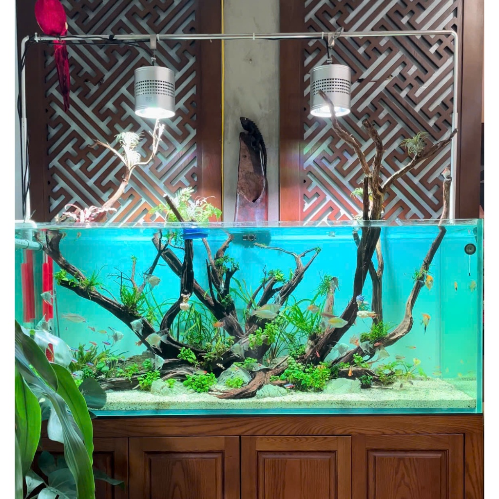 ĐÈN LED RỌI WEEK UV-RGB T90 PRO 90W Chip 3.0 thế hệ mới nhất chỉnh qua App