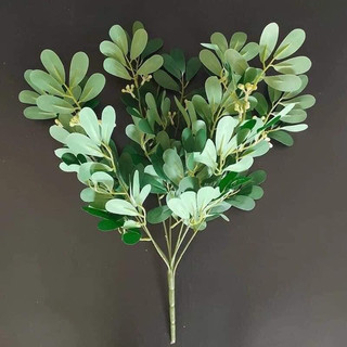 Chùm lá thanh mai - Lá giả