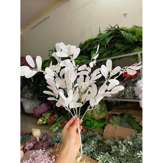 Chùm lá thanh mai - Lá giả