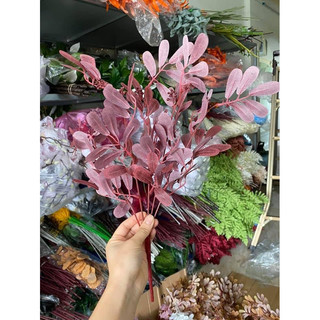 Chùm lá thanh mai - Lá giả