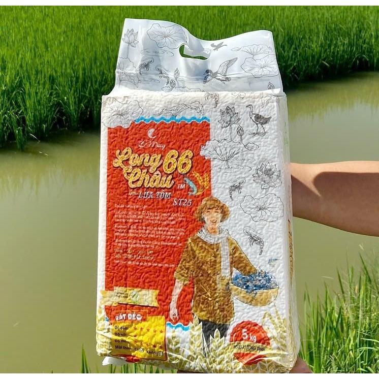 Gạo ST25 Long Châu 66 lúa tôm