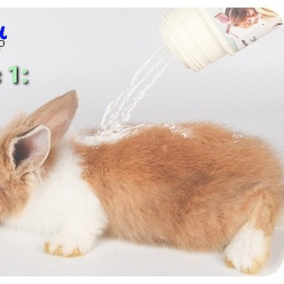 Lược chải lông cho Thỏ , Bọ, Chinchilla, Chó, Mèo...