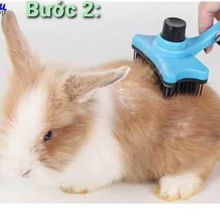 Lược chải lông cho Thỏ , Bọ, Chinchilla, Chó, Mèo...