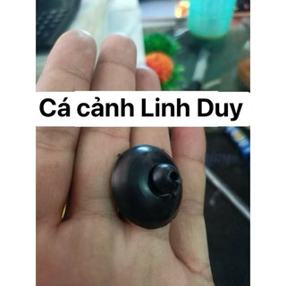 COMBO 5 NÚM HÍT CHÂN MÁY , NÚM HÍT GIỮ CHÂN MÁY BƠM NƯỚC