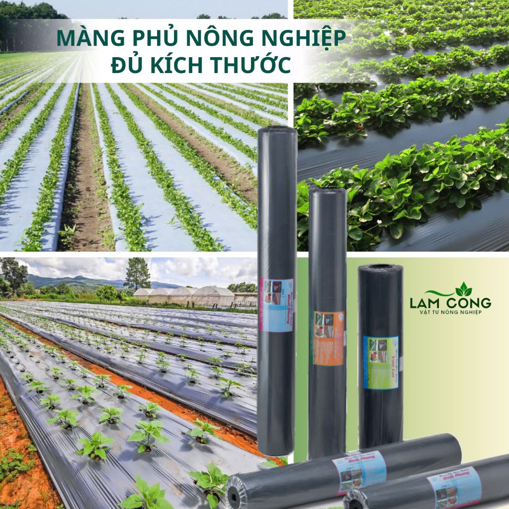 Màng Phủ Nông Nghiệp 2 Mặt Đen Bạc 25 Mic Đủ Kích Thước Làm Tăng Nhiệt Độ Giữ Đất Tươi Xốp