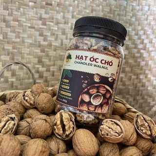 Hạt Óc Chó CHANDLER [Nhân]