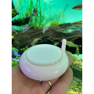 Đĩa sủi Ôxy siêu mịn HT-50 cho bể cá cảnh, thủy sinh