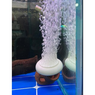 Đĩa sủi Ôxy siêu mịn HT-50 cho bể cá cảnh, thủy sinh