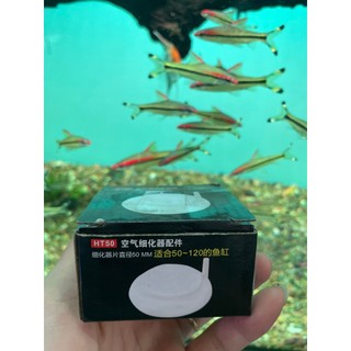 Đĩa sủi Ôxy siêu mịn HT-50 cho bể cá cảnh, thủy sinh