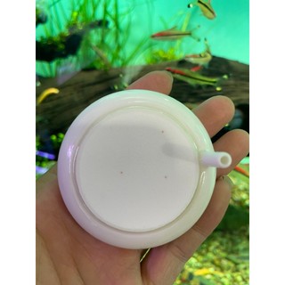 Đĩa sủi Ôxy siêu mịn HT-50 cho bể cá cảnh, thủy sinh
