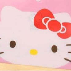 🌻BÌA NÚT ĐỰNG HỒ SƠ 🎀 KITTY HOUSE