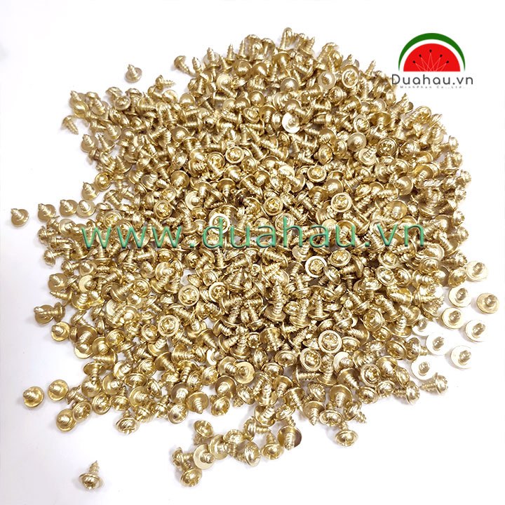 [Bịch 5 ký] Vit đầu cộng XK 3x6mm - màu vàng Gold