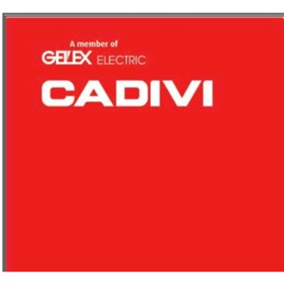 Dây điện Cadivi đôi mềm tròn VCMT đồng ,2x1, 2X1.5, 2X2.5, 2x4, 2 lớp vỏ bọc đen (Gía 1 mét)