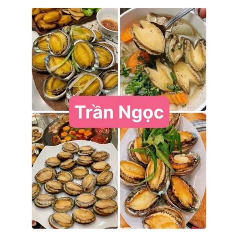 Bào ngư 1khay size 9 con (giao hoả tốc HCM)