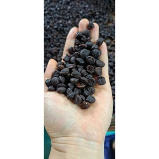 100g Hạt Dổi Rừng (Hạt Dổi Nếp Tây Bắc)