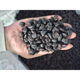 100g Hạt Dổi Rừng (Hạt Dổi Nếp Tây Bắc)