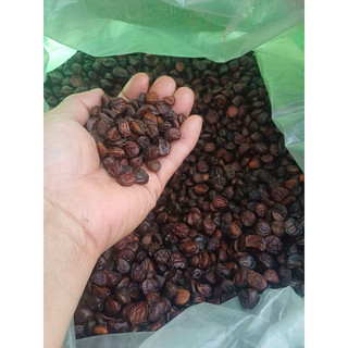 100g Hạt Dổi Rừng (Hạt Dổi Nếp Tây Bắc)