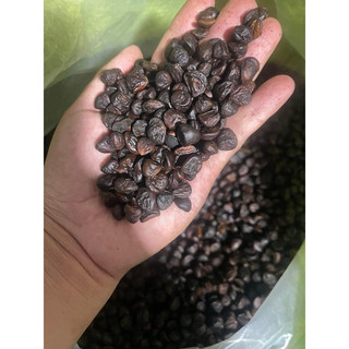 100g Hạt Dổi Rừng (Hạt Dổi Nếp Tây Bắc)