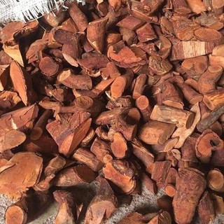 rễ cây mú từn khô túi 1kg