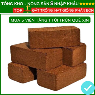 Combo 10 Viên Giá Tốt Đất Nén Xơ Dừa Trồng Cây Mùn Xơ Dừa - Tơi Xốp, Giữ Ẩm, Thân Thiện Môi Trường