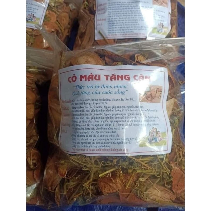 Cỏ máu thảo dược Tây Bắc