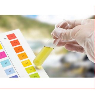 Giấy Quỳ Tím Đo PH 1-14 Gói 80 Miếng