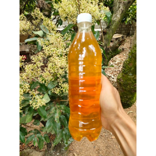  COMBO 5LÍT MẬT ONG HOA VẢI   TẶNG KÈM THÊM 1L  