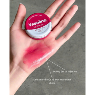 son dưỡng vaseline hộp thiếc