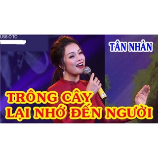 [CD.1] CD: Tân Nhàn – Giai Điệu Quê Hương 15 Bài Hát LOSSLESS WAV