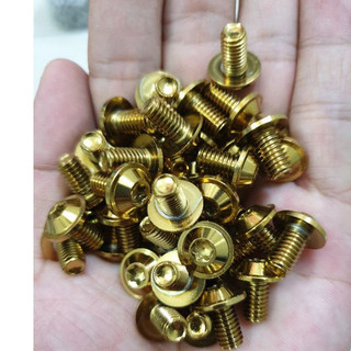 ốc inox đầu proti