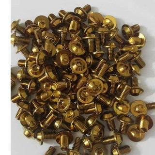 ốc inox đầu proti