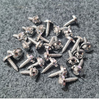 ốc inox đầu proti