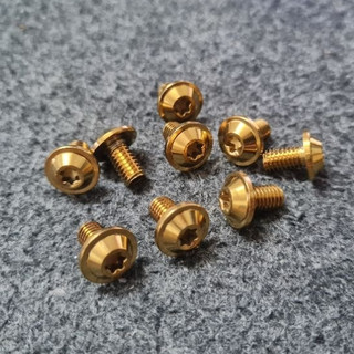 ốc inox đầu proti