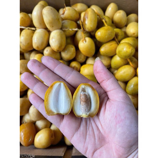 Chà Là tươi Ai Cập, Thái Lan