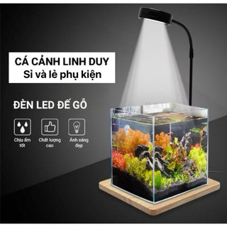 ĐÈN LED ĐẾ GỖ , ĐÈN LED ĐỂ BÀN , ĐÈN LED THỦY SINH , ĐÈN LED RỌI HỒ CÁ