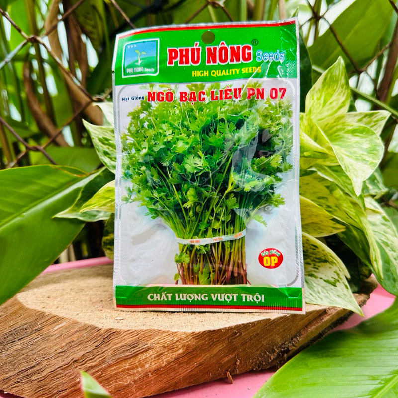 Hạt giống NGÒ RÍ ( Ngò Bạc Liêu), gói 20gr