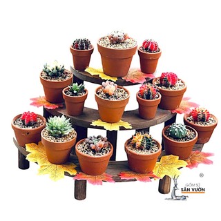 Combo 10 Chậu Gốm Đất Nung Dáng Ly Gờ Cao Size Nhỏ - Chậu Trồng Sen Đá, Xương Rồng