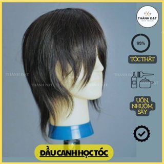 Đầu manocanh nam học tóc, tóc thật 99% đầu ma nơ canh nam tóc thật cho học viên thợ tóc