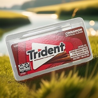 TRIDENT (vị quế) 28 thanh/vỉ- KẸO CAO SU KHÔNG ĐƯỜNG (thơm miệng, không lo sâu răng) - mua càng nhiều gái càng rẻ ạ