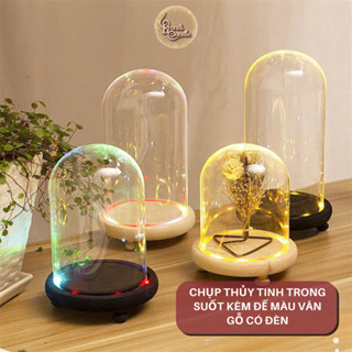 Chụp thủy tinh kèm đế màu vân gỗ có đèn decor trưng bày trang trí nhà cửa