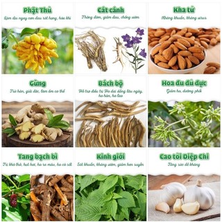 Keo ho Diệp Chi hỗ trợ long đờm, giảm ho - lọ mới 135ml