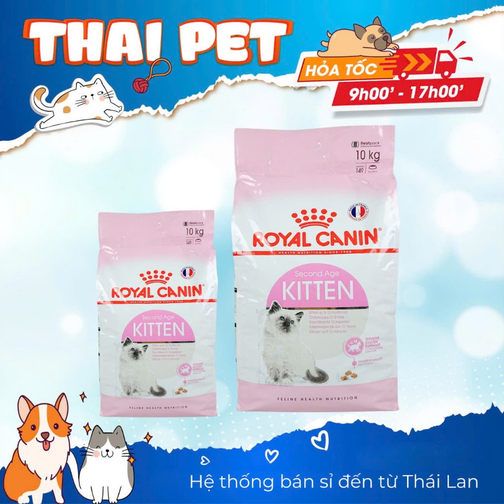 Hạt Royal Canin Kitten Cho Mèo Con
