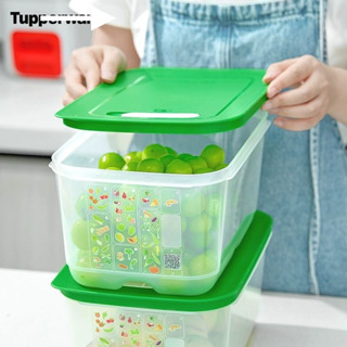 Hộp Ventsmart 4,4L bảo quản thực phẩm ngăn mát - Trữ rau củ quả, trái cây giữ nguyên độ tươi ngon và giá trị dinh dưỡng