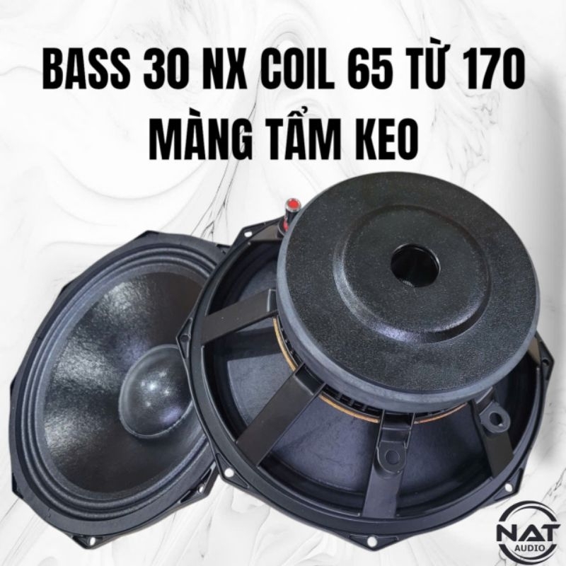 Bass 30 coil 65 từ 170  sườn nhôm màng tẩm keo chống nước