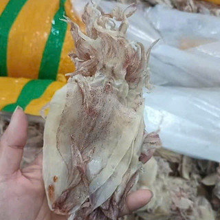 Khô Mực Ngon Ngọt Chất Lượng Chiên, Rim, Nấu Mì 60-65 Con / Kg- Đặc Sản Vũng Tàu